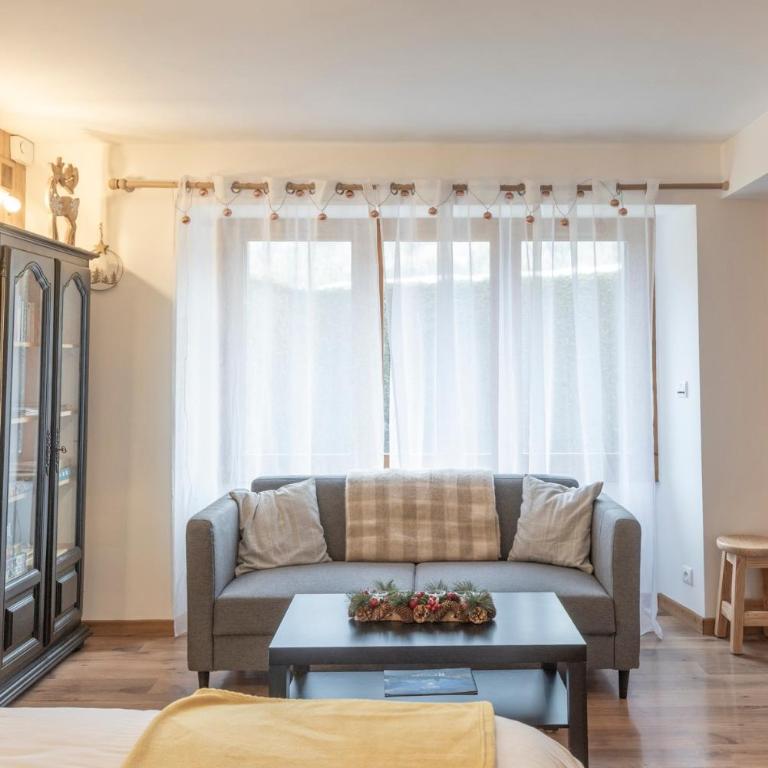 La Tanière - Appartement 1 Chambre - Vue sur Jardin - 4