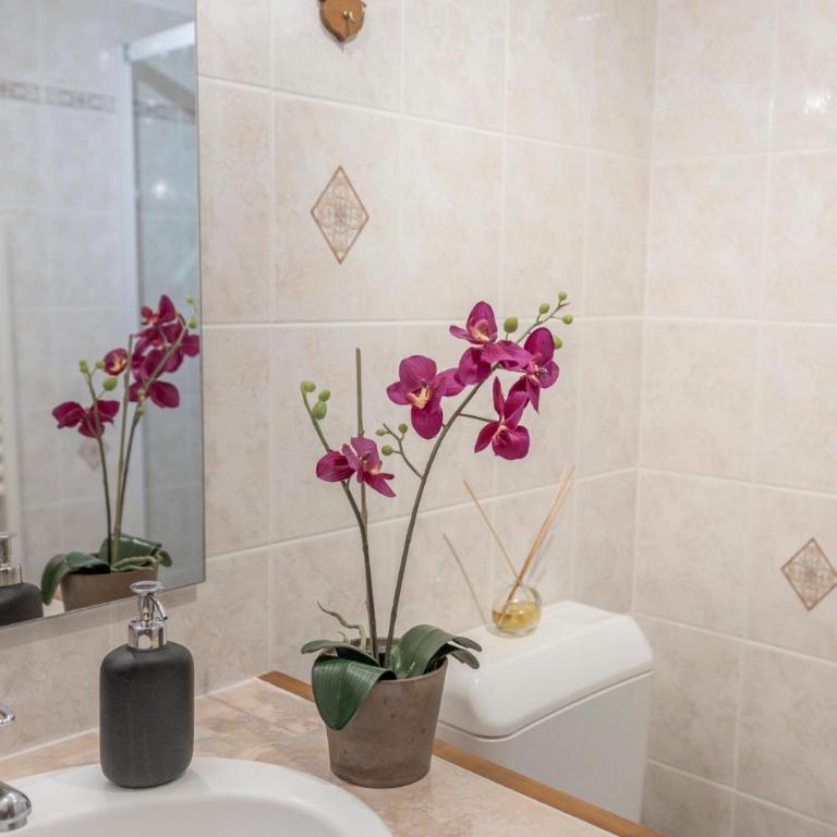 La Tanière - Appartement 1 Chambre - Vue sur Jardin - 16