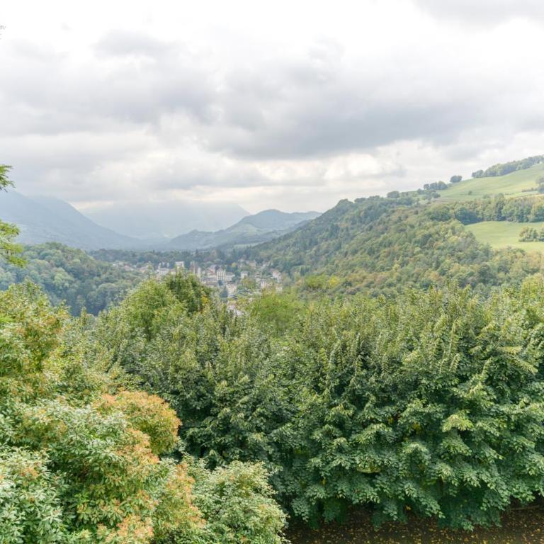 Au Château d’Uriage-Chamrousse - Two-Bedroom Deluxe Apartment with Garden View - 35