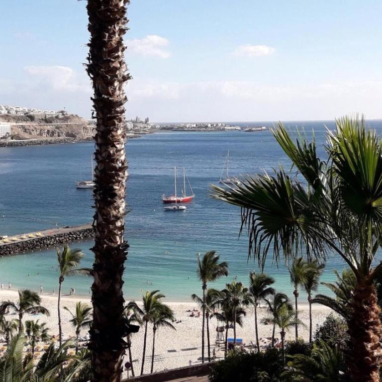 Estrella Del Mar Amazing Loft Casa - Studio with Terrace - 31