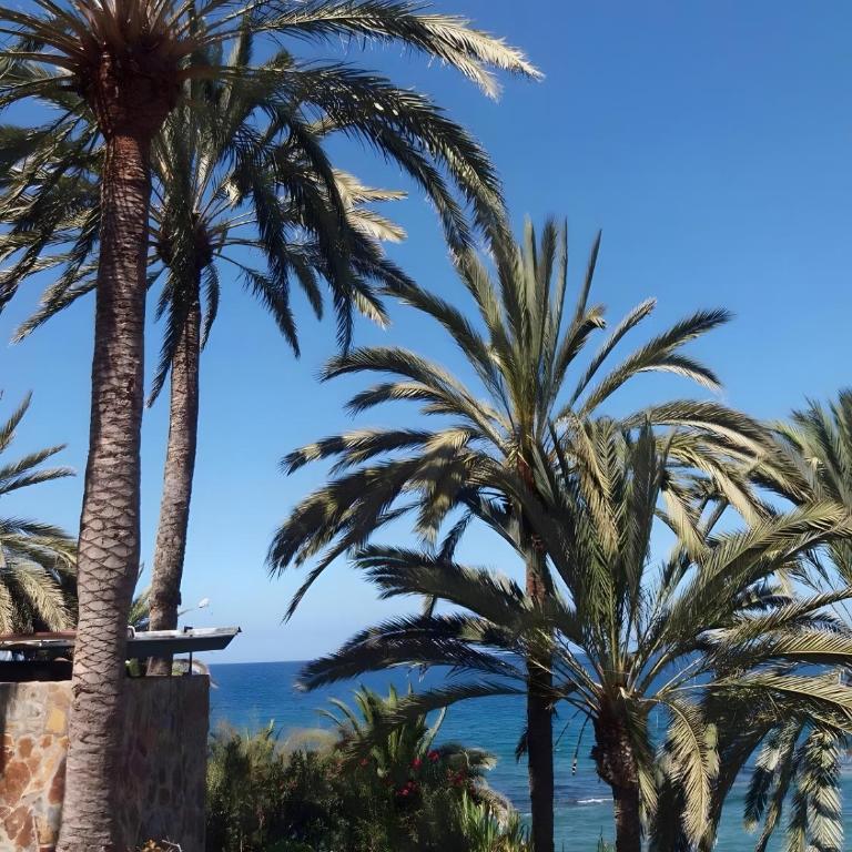 Estrella Del Mar Amazing Loft Casa - Studio with Terrace - 23