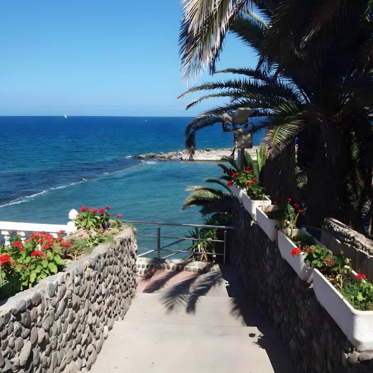 Estrella Del Mar Amazing Loft Casa - Studio with Terrace - 24