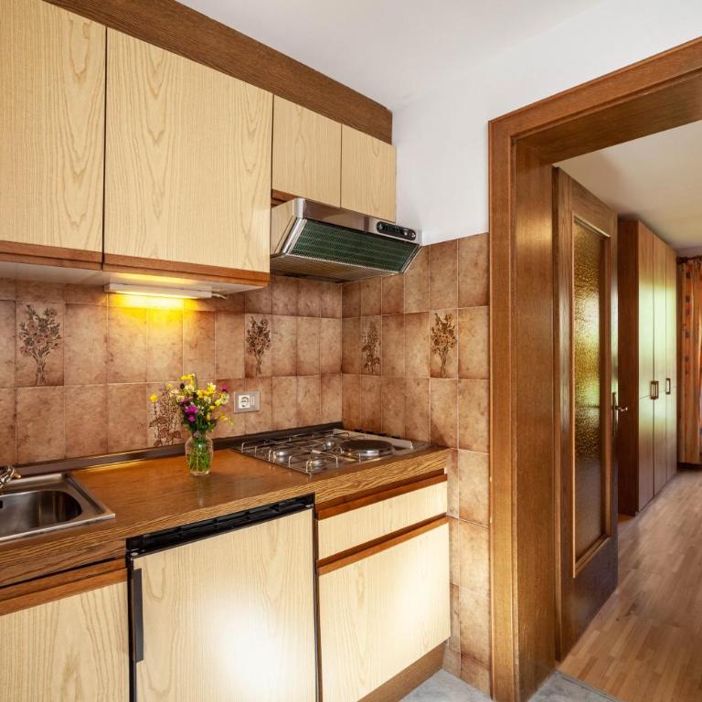 Rieglhof Apartment Kükennest - Appartamento Superior con 1 Camera da Letto e Balcone - 6