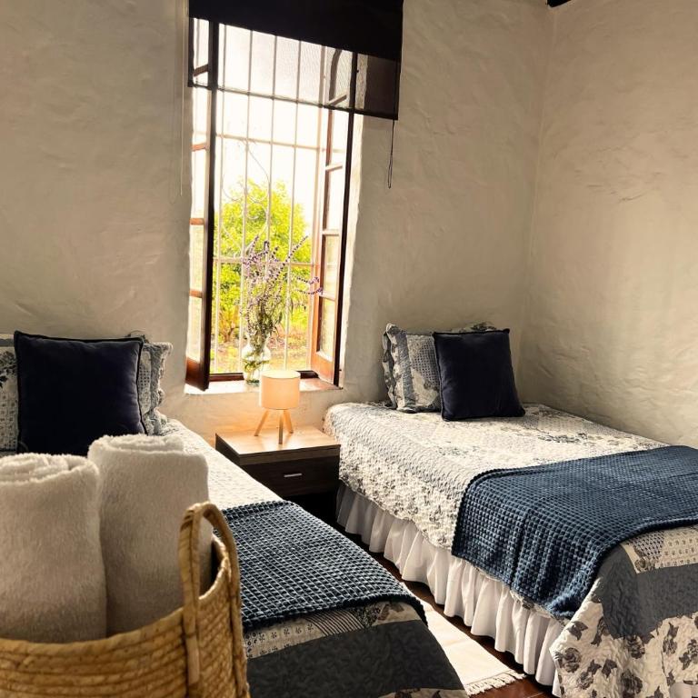 La Franchesca Hotel Boutique - Standard Family Room - 13