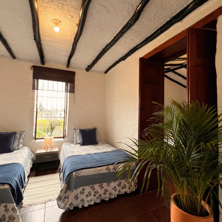 La Franchesca Hotel Boutique - Standard Family Room - 10