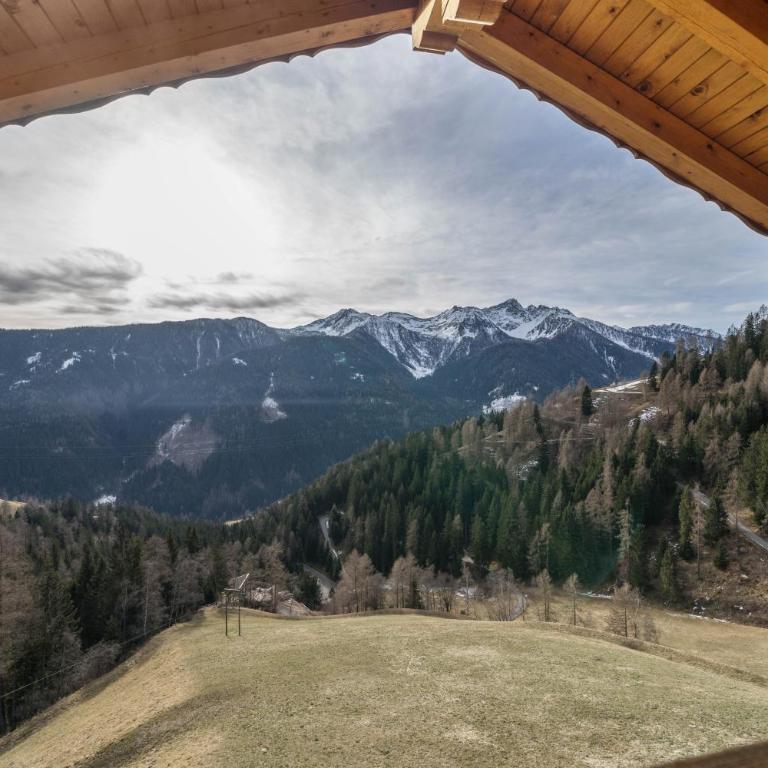 Thalhof Kornigl - Appartement 2 Chambres avec Vue sur la Montagne - 18