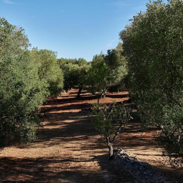 Trullo dei Noci con Piscina - Apartment with Terrace - 31