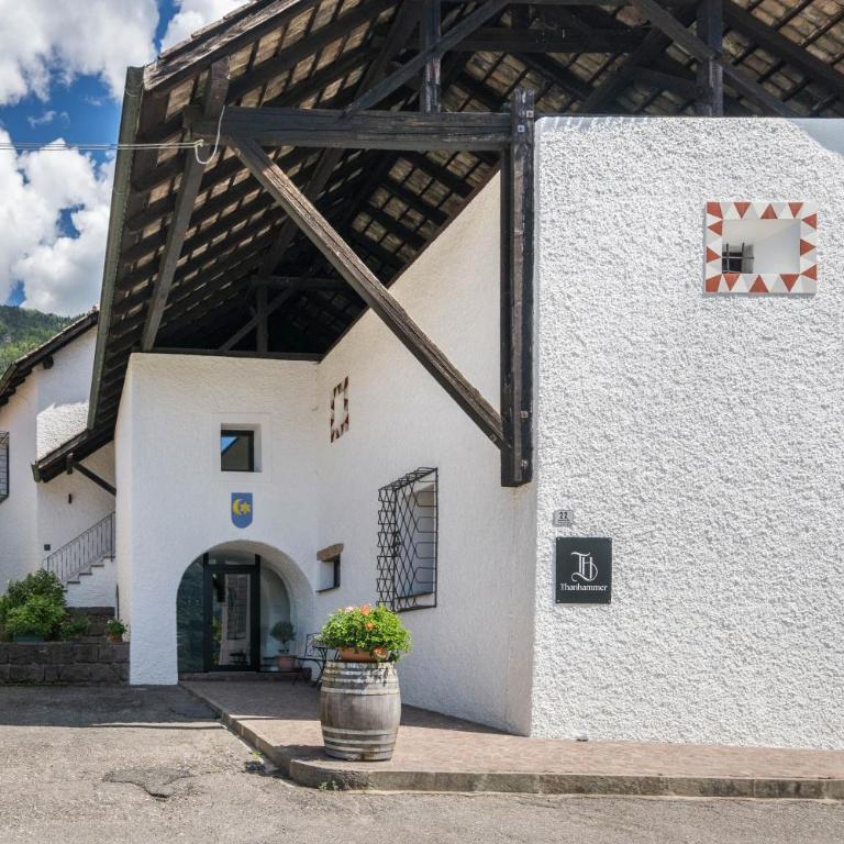 Thanhammer Apt Nova Domus - Apartment mit 1 Schlafzimmer und Gartenblick - 16