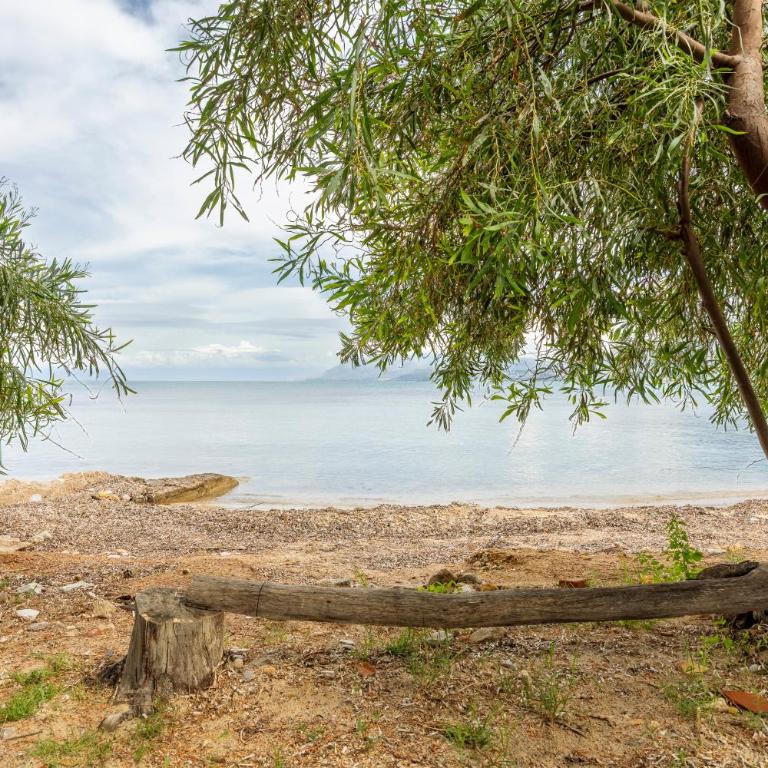 Villa Rossana sul mare - Villa con vistas al mar - 32