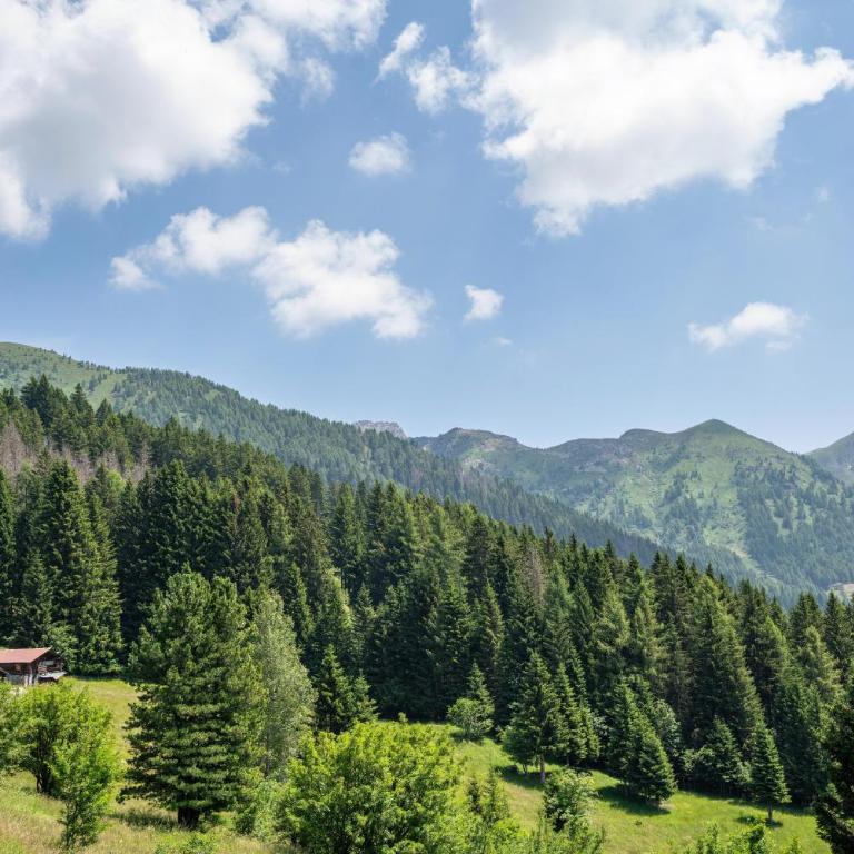 Baita Naibiz Val d Mòcheni Trentino - Chalet con 3 Camere da Letto - 39