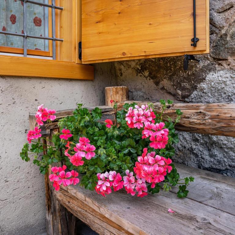 Baita Naibiz Val d Mòcheni Trentino - Chalet con 3 Camere da Letto - 35
