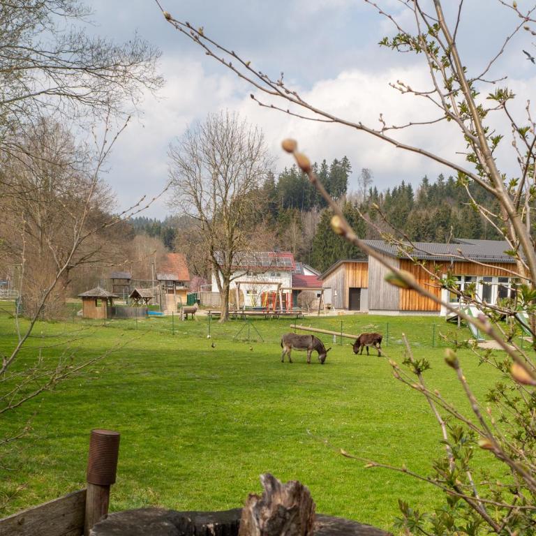 Moderne Unterkunft in Leutkirch - Superior Apartment mit 1 Schlafzimmer und Balkon - 25