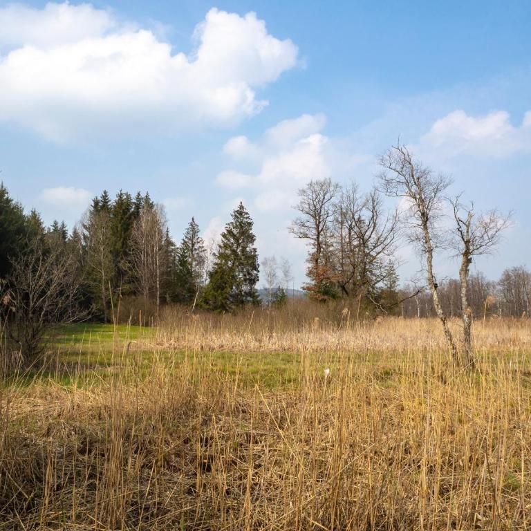 Moderne Unterkunft in Leutkirch - Superior Apartment mit 1 Schlafzimmer und Balkon - 27