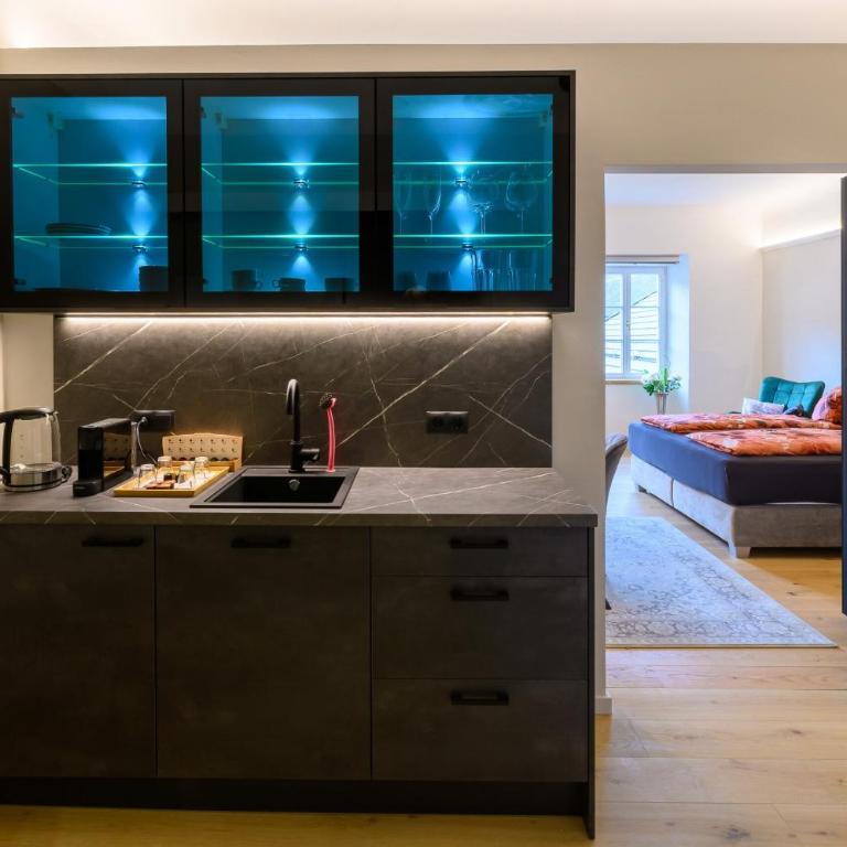 Gh Alte Post - Top 5 Gt - Apartment mit 1 Schlafzimmer und Gartenblick - 3