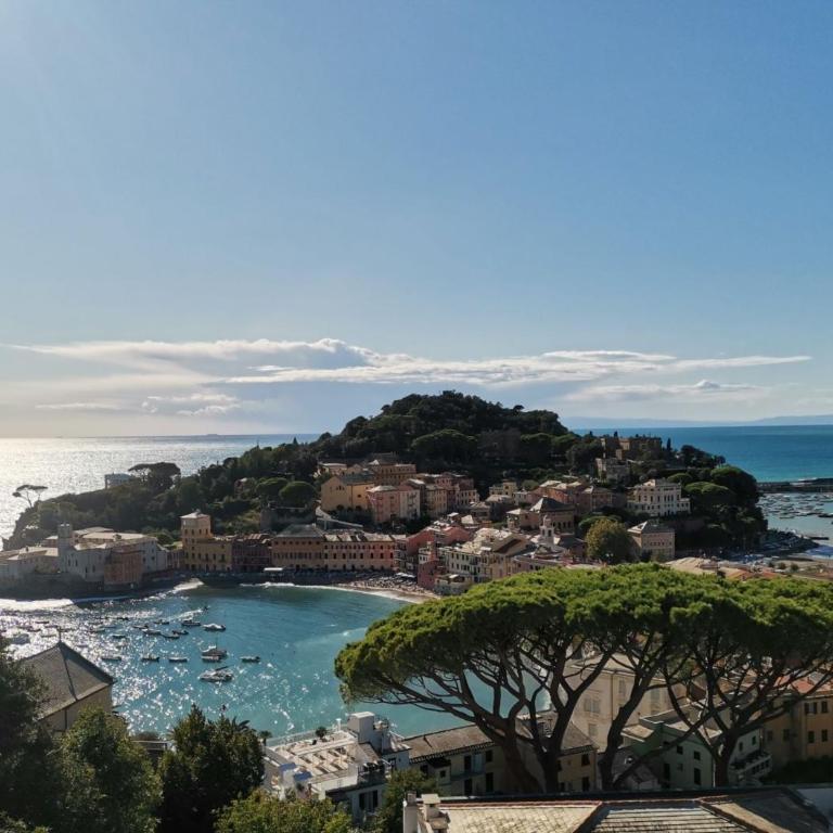 Villa dei Nonni - One-Bedroom Apartment with Garden - 12