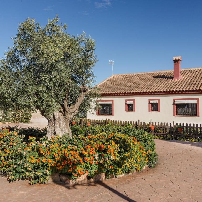 Finca Liarte - Three-Bedroom Apartment with Mountain View - 1