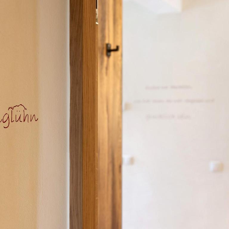 Furnerhof Apt Olpenglühn - Appartamento Deluxe con 2 Camere da Letto e Vista Giardino - 21