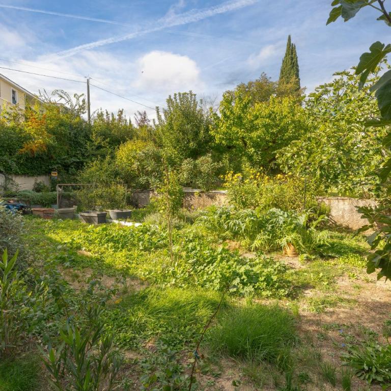 Appartement indépendant avec jardin - Appartement 1 Chambre - Vue sur Jardin - 15