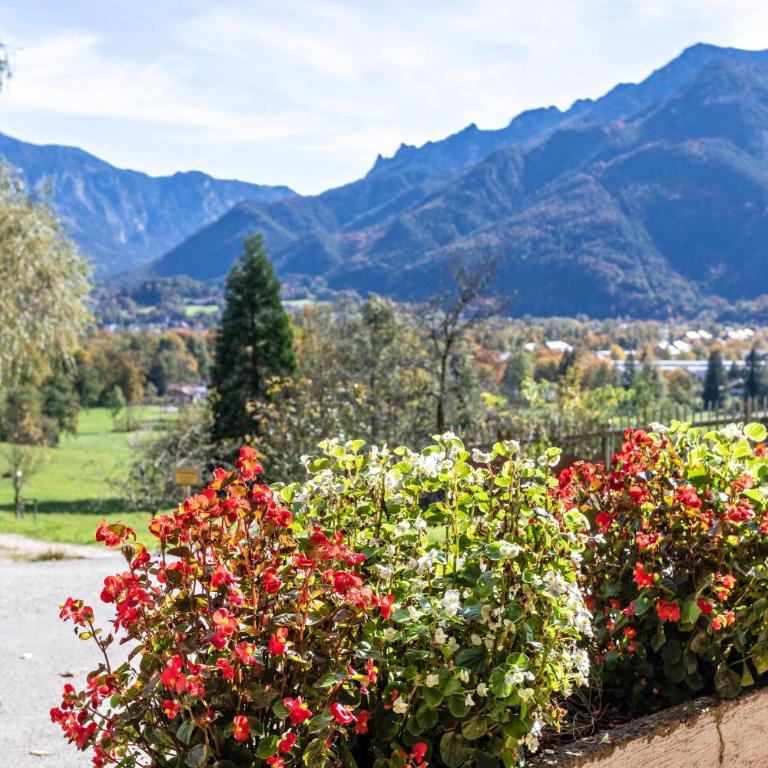 Ferienwohnung Edelweiß - Deluxe-Apartment mit 2 Schlafzimmern und Gartenblick - 17