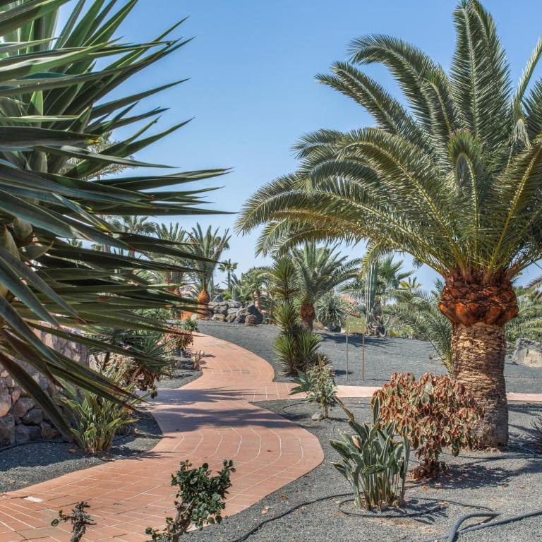 Oasis Royal E204 - Casa de 2 dormitorios - 23