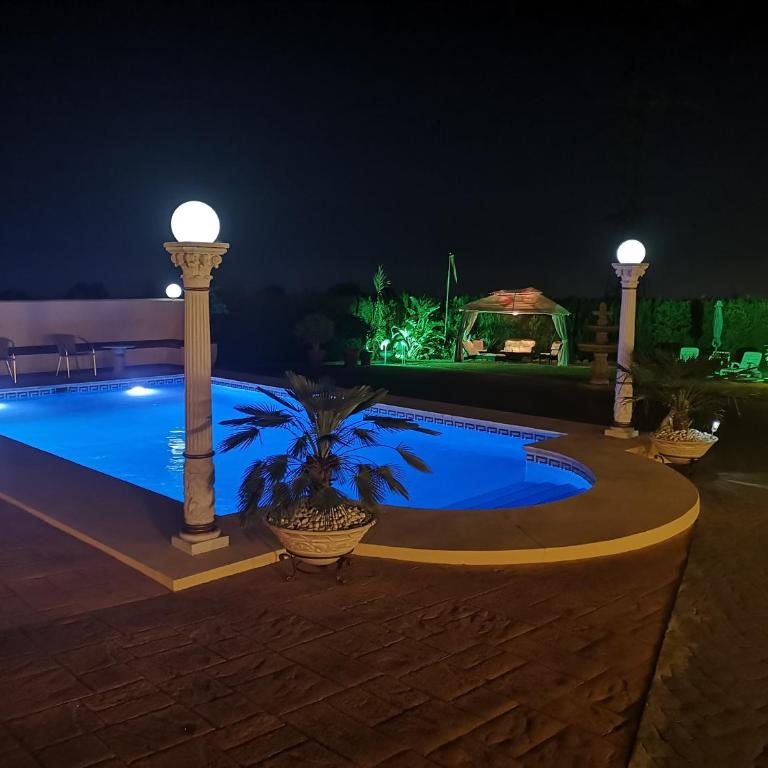 Roca Penthouse - Studio with Terrace - 29
