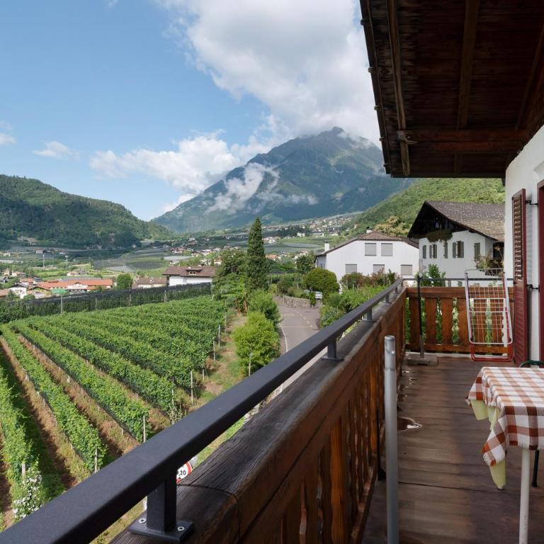 Unterdornerhof Algund - Superior One-Bedroom Apartment with Balcony - 2