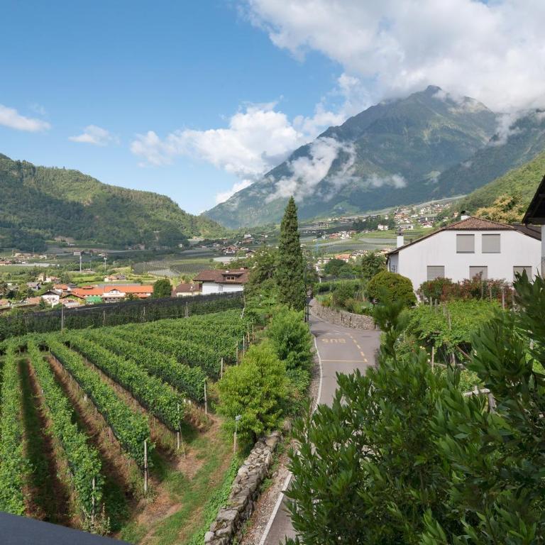 Unterdornerhof Algund - Superior One-Bedroom Apartment with Balcony - 3