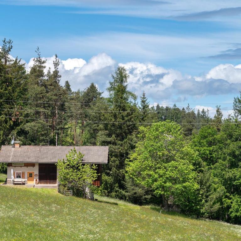 Waldchalet Ödenhof - Haus mit 2 Schlafzimmern - 25