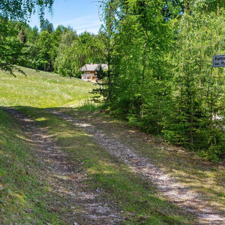 Waldchalet Ödenhof - Haus mit 2 Schlafzimmern - 28