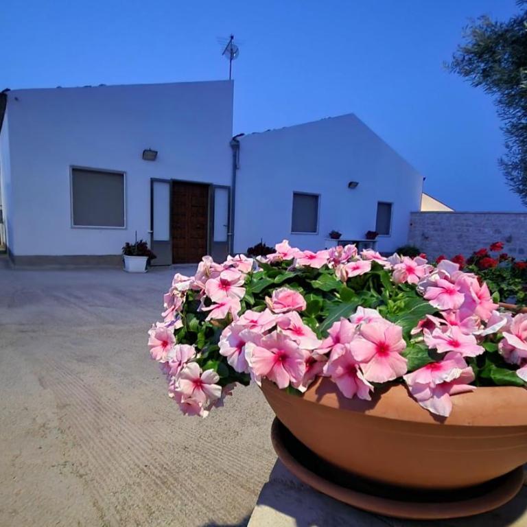 Casa vacanza i due ulivi - Appartamento Deluxe con 2 Camere da Letto e Vista Giardino - 33