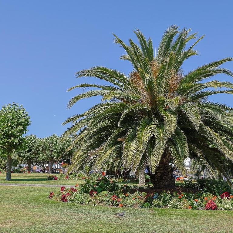 Villa Rosella - Three-Bedroom House - 29