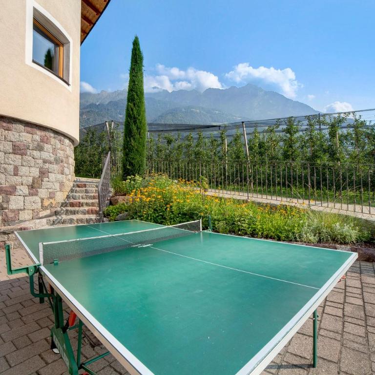 Obermoarhof Hönigspitze EG - One-Bedroom Apartment with Garden View - 21