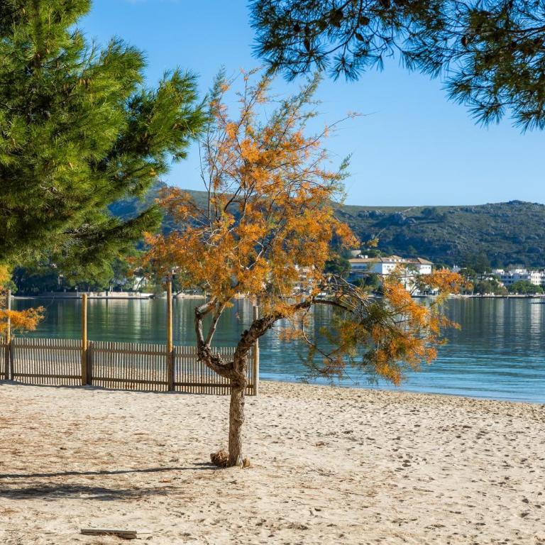 Tonia - Apartamento Deluxe de 2 dormitorios con vistas al mar - 27