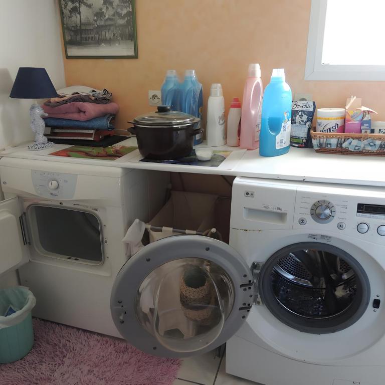 Sweet Home - Gujan-Mestras - Maison 2 Chambres - 15