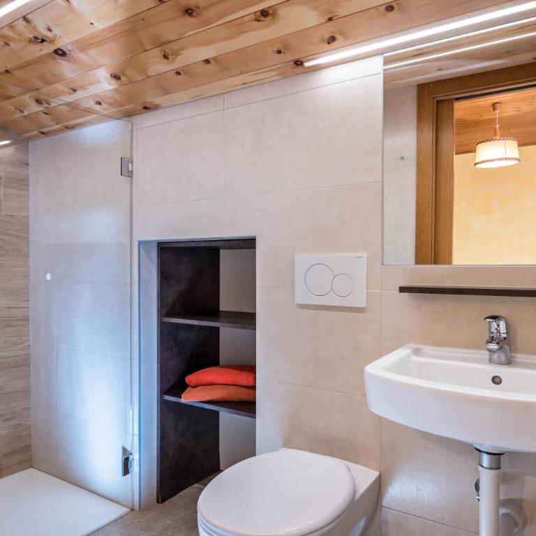 Heiserhof App Birke - Appartamento Deluxe con 2 Camere da Letto e Balcone - 6
