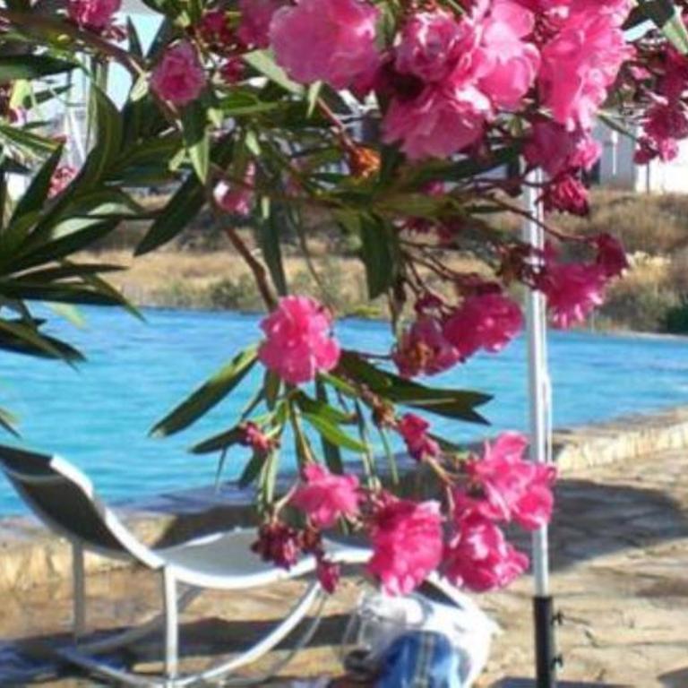 Cortijo Torreblanca - 7 personas - Villa con vistas al jardín - 3