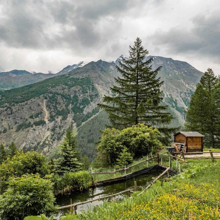 Waldhotel Fletschhorn Private Whole Hotel in Saas-Fee 360 Alpine Views & Sauna - Chalet - 49