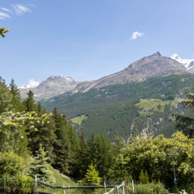 Waldhotel Fletschhorn Private Whole Hotel in Saas-Fee 360 Alpine Views & Sauna - Chalet - 54