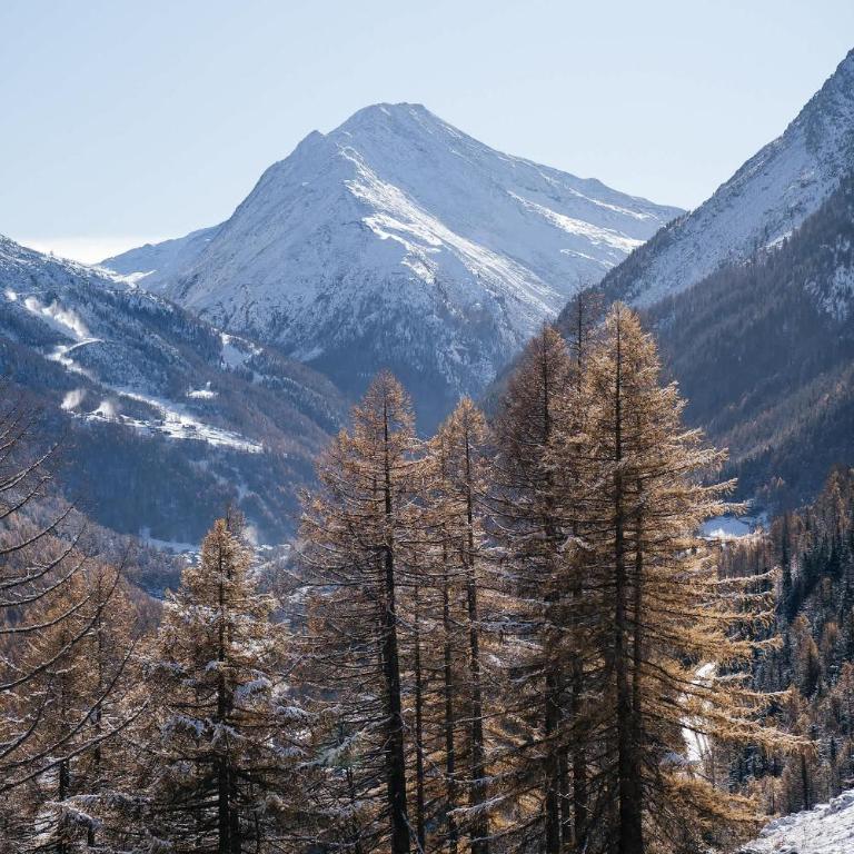 Waldhotel Fletschhorn Private Whole Hotel in Saas-Fee 360 Alpine Views & Sauna - Chalet - 77