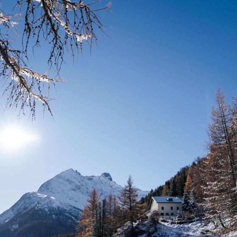 Waldhotel Fletschhorn Private Whole Hotel in Saas-Fee 360 Alpine Views & Sauna - Chalet - 97