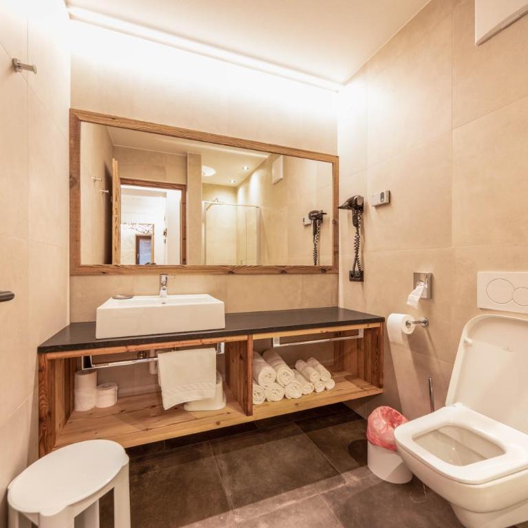 Sonnleiten Sonnenadler 1 - Appartamento Deluxe con 2 Camere da Letto e Vista Giardino - 21