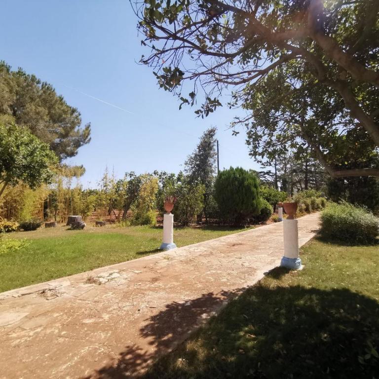 Casina delle Rose - Levante - Appartamento con 1 Camera da Letto e Vista Giardino - 25