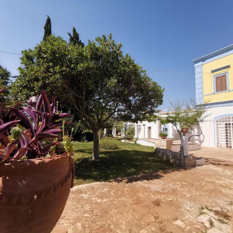 Casina delle Rose - Levante - Appartamento con 1 Camera da Letto e Vista Giardino - 22