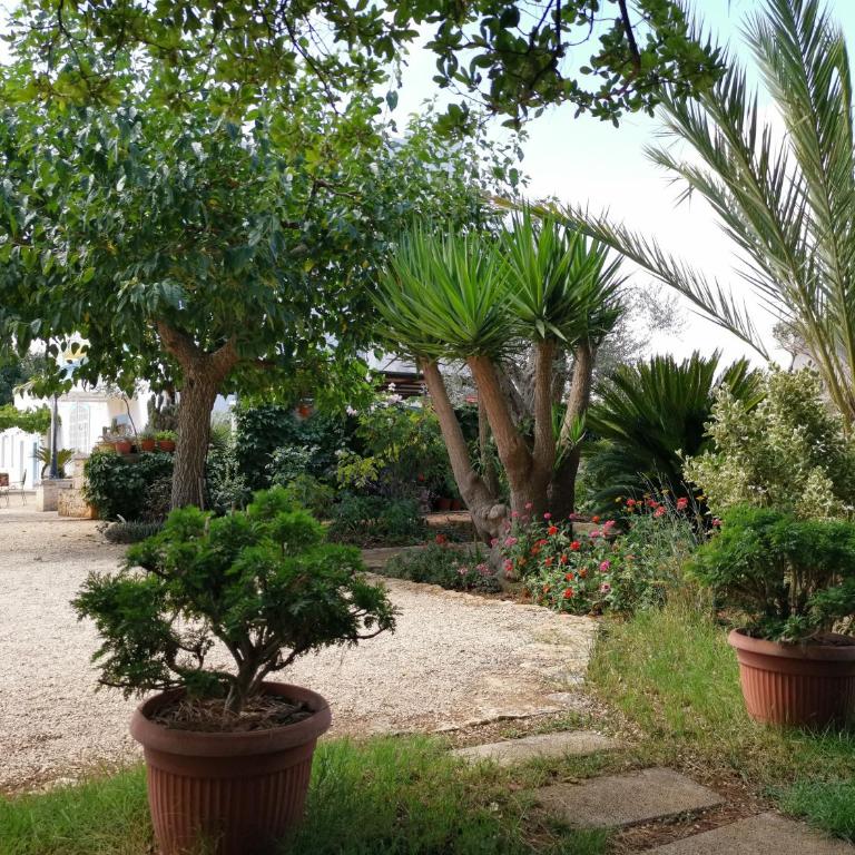 Casina delle Rose - Levante - Appartamento con 1 Camera da Letto e Vista Giardino - 26