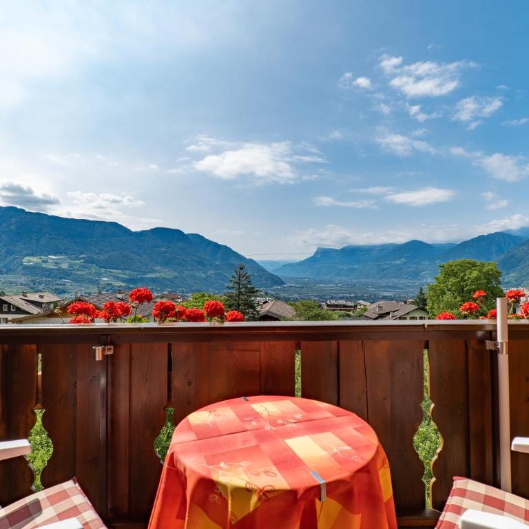 Wiesengrund - Wohnung 5 - Appartamento Superior con 1 Camera da Letto e Balcone - 7
