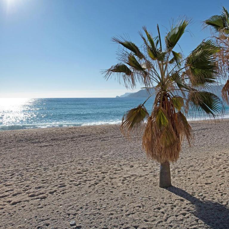 Casa Alba La Casa Delle Coccole - Superior One-Bedroom Apartment with Balcony - 24