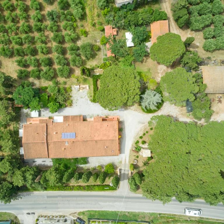Antichi Palmenti - Rosmarino - Appartamento con 1 Camera da Letto e Vista Giardino - 29