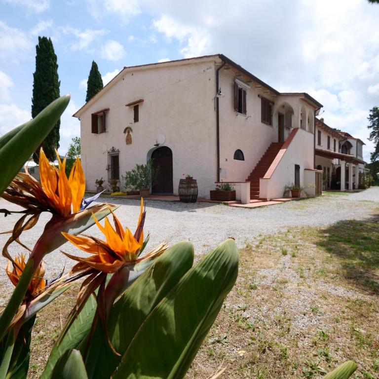 Antichi Palmenti - Rosmarino - Appartamento con 1 Camera da Letto e Vista Giardino - 4
