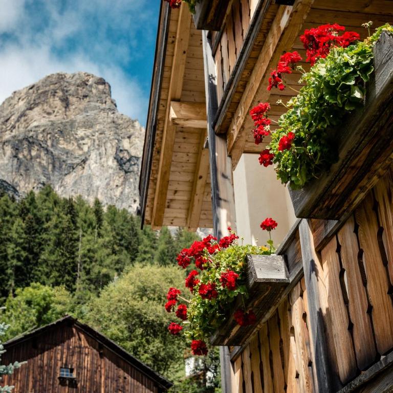 App Lisüra Cir - Apartment mit 1 Schlafzimmer und Gartenblick - 4