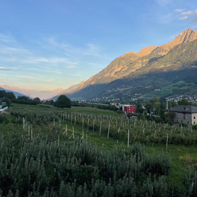 Villa Maffei - Appartamento Deluxe con 2 Camere da Letto e Vista Giardino - 24